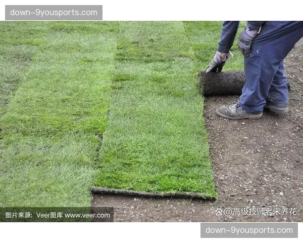 伯纳乌球场草皮完成更新,官方称新草皮将更有利于地面传导 伯纳乌球场草皮完成更新,官方称新草皮将更有利于地面传导